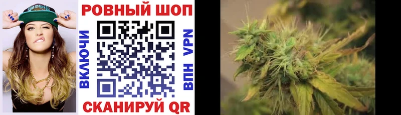 Где купить наркотики Лесной APVP  Меф  Кокаин  ГАШИШ  МАРИХУАНА 