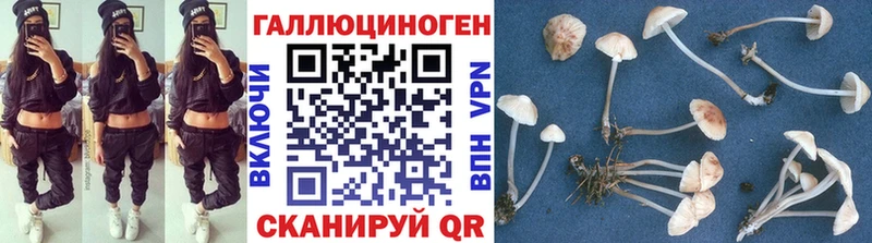купить наркотики цена  Лесной  Галлюциногенные грибы ЛСД 